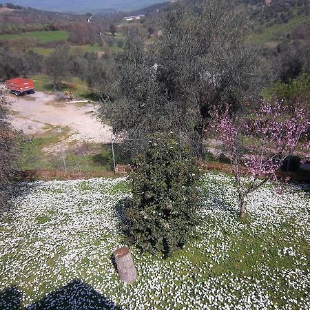 Agriturismo Norianino Montemerano Ngoại thất bức ảnh