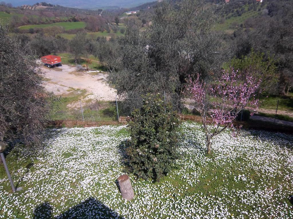 Agriturismo Norianino Montemerano Ngoại thất bức ảnh