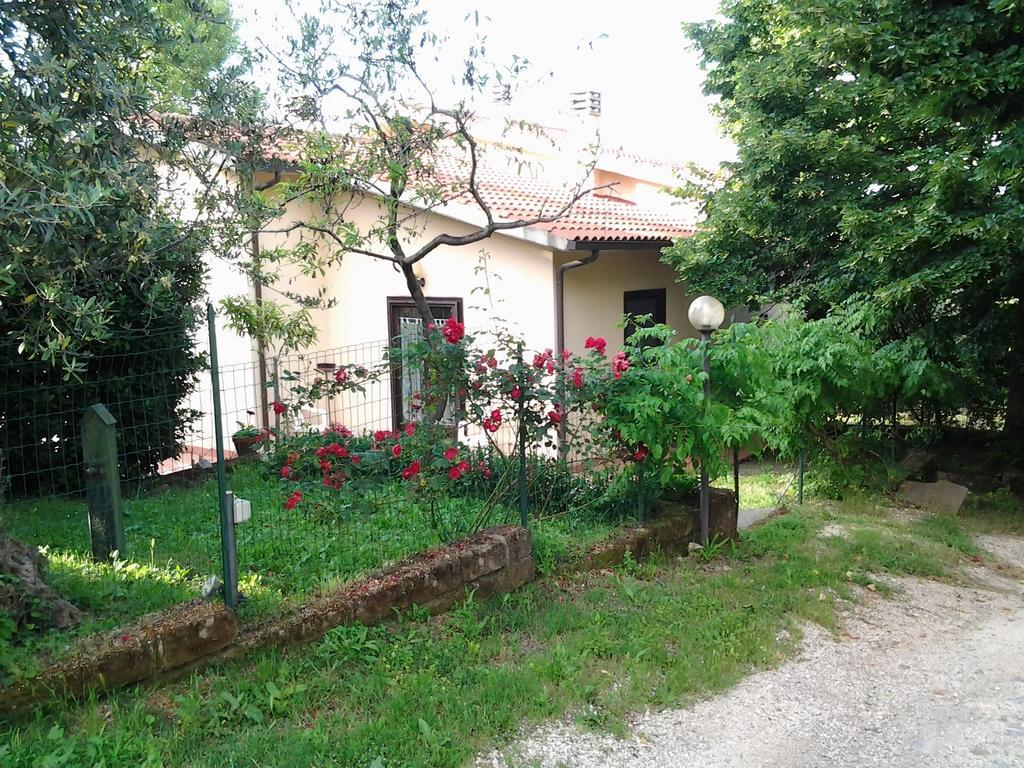 Agriturismo Norianino Montemerano Ngoại thất bức ảnh